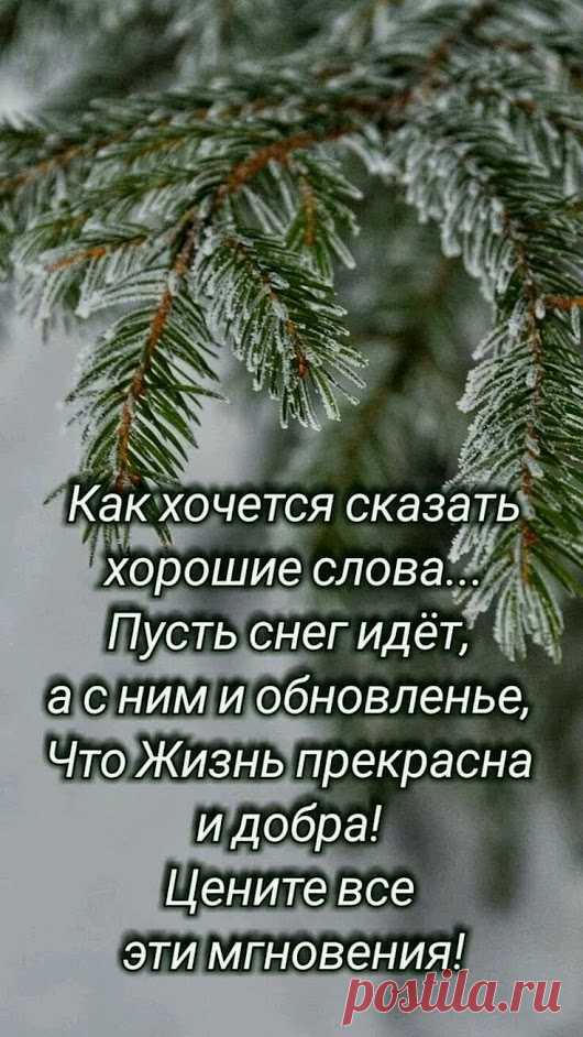 Google+