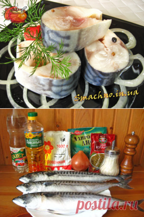 Соленая скумбрия (сельдь) в маринаде / Рецепты приготовления закусок с пошаговыми фотографиями