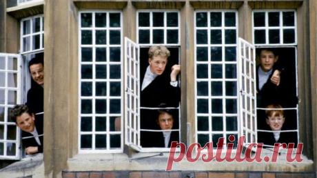 «Я бы туда не отправил даже семилетнюю собаку» | Англофил