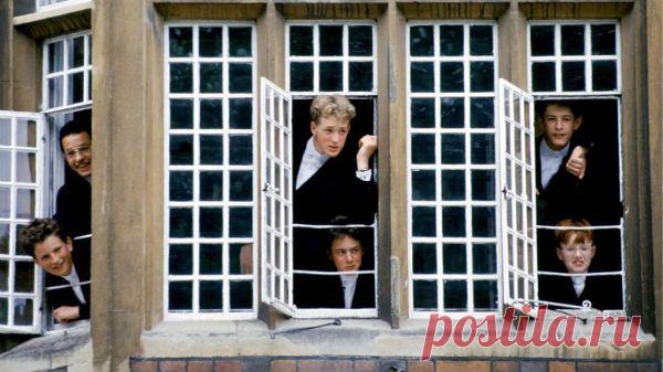 «Я бы туда не отправил даже семилетнюю собаку» | Англофил