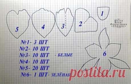 (1232) Pinterest