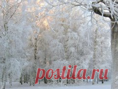 Русская зима (Надежда Белугина-Подюжская) / Стихи.ру