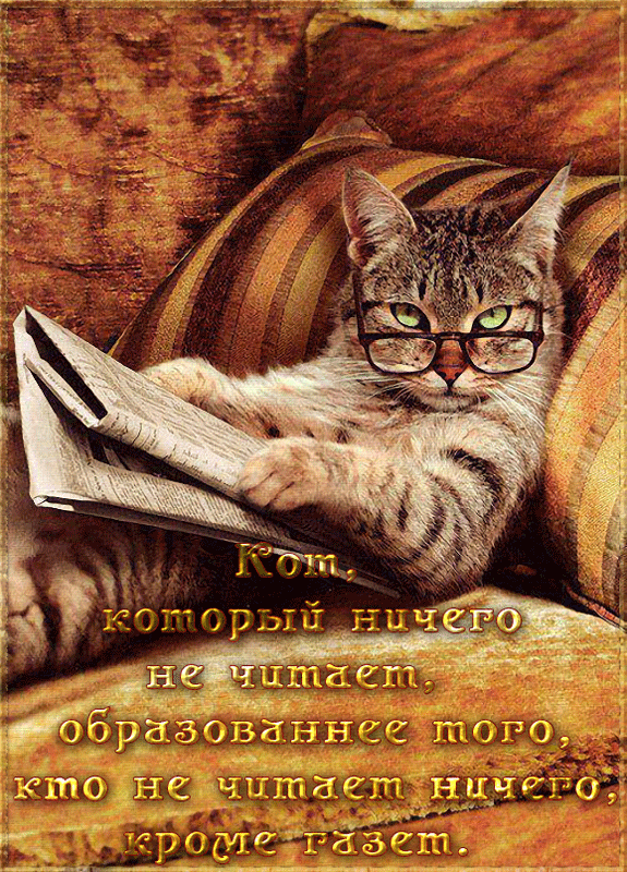 Газетчик !