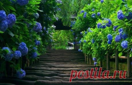 Цитаты про жизнь