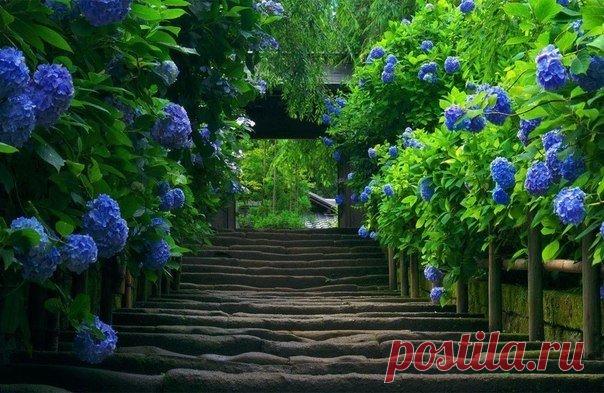 Цитаты про жизнь