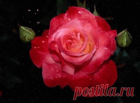 *****************************************