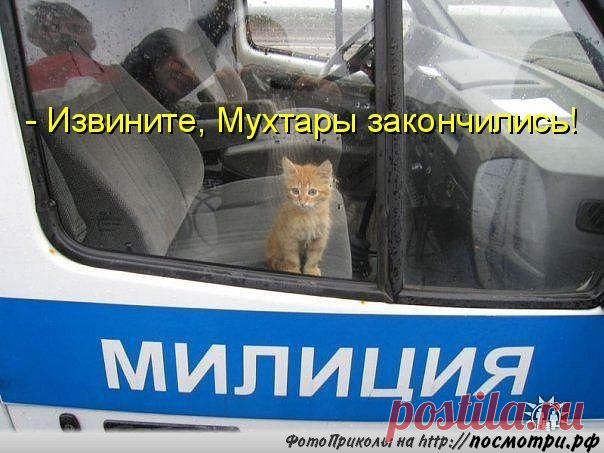Новости