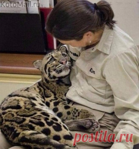 Доброта и любовь в глазах