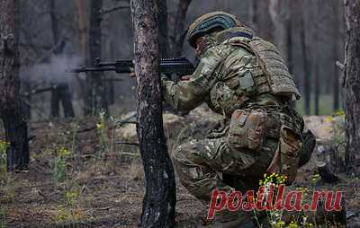 Марочко: ВС РФ увеличили давление на ВСУ в Кременских лесах ЛНР. Военный эксперт отметил, что положение украинских военнослужащих в районе Григоровки и Серебрянки ежедневно ухудшается