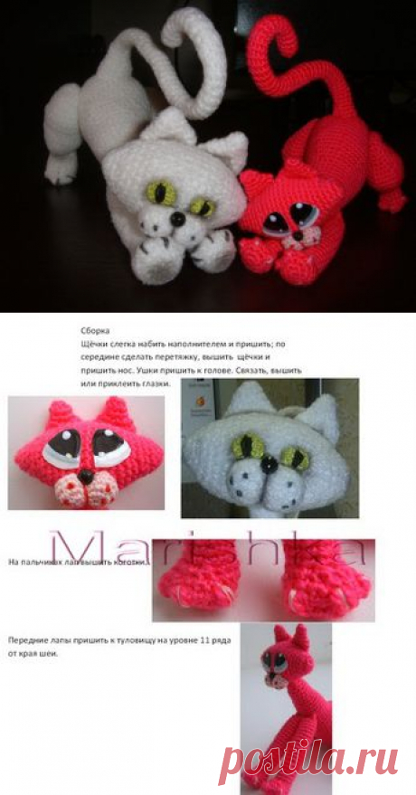 сердечный кот(описание)