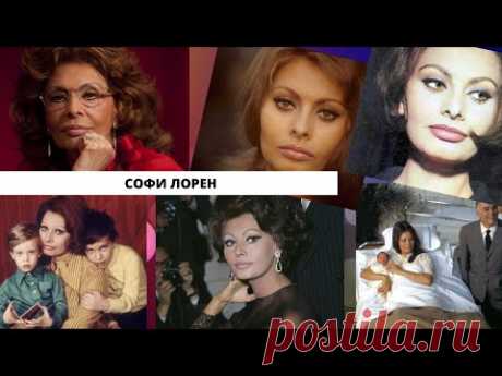 Красавица даже в 87 лет: как сейчас живет Софи Лорен и как выглядит сегодня?