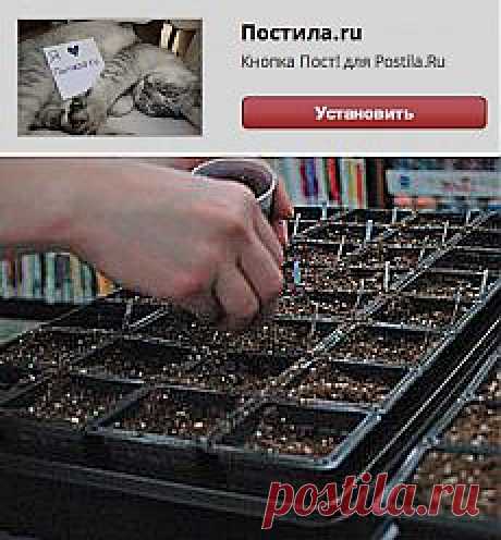 Популярное | Постила.ru