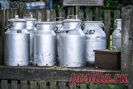 Запрещение употреблять в пищу те или иные продукты не является приметой современности: на протяжении веков по религиозным, медицинским или другим причинам некоторые блюда оказывались вне закона. Подобные запреты — и нередко очень забавные — существуют и в наши дни.