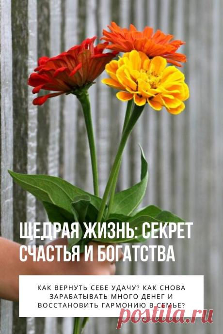 Щедрая жизнь. Каждый из нас на определенном этапе жизни сталкивался с финансовыми трудностями. Причину недостатка денег кто-то объясняет царящим в мире экономическим кризисом, сложной ситуацией в конкретной компании, недобросовестностью партнеров по бизнесу.