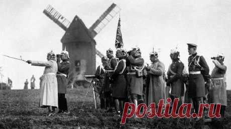 Первая мировая война 1914-1918 гг.: начало, причины, участники, эрцгерцог Франц Фердинанд, Гаврило Принцип, сараевское убийство | История