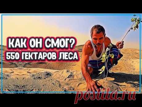 УРОВЕНЬ ЖИЗНИ - КАК ЧЕЛОВЕК ВЫРАСТИЛ 550 ГЕКТАРОВ ЛЕСА (человек и природа) - YouTube