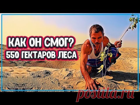 УРОВЕНЬ ЖИЗНИ - КАК ЧЕЛОВЕК ВЫРАСТИЛ 550 ГЕКТАРОВ ЛЕСА (человек и природа) - YouTube