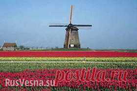 ВЫБОР 2012. Выбери сам своё будущее!