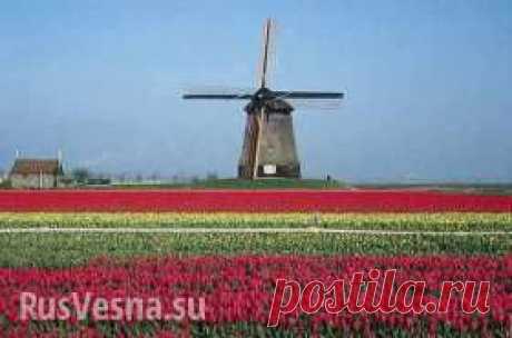 ВЫБОР 2012. Выбери сам своё будущее!