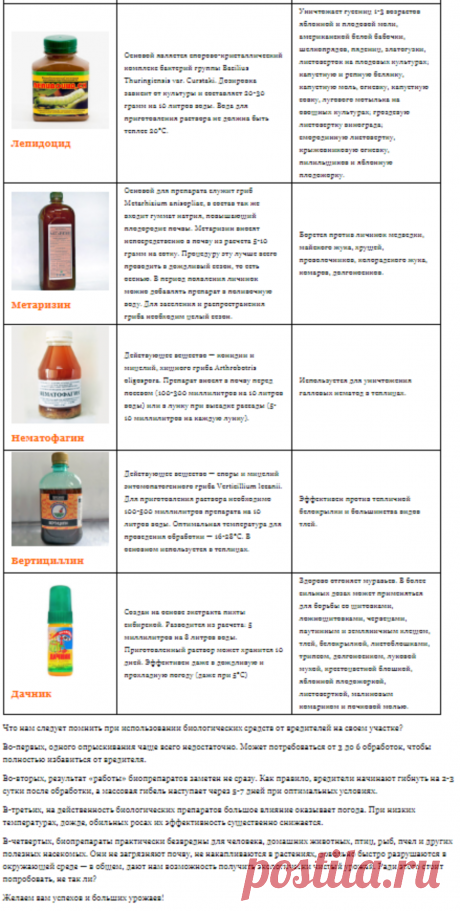 Биопрепараты от вредителей - Дачные советы