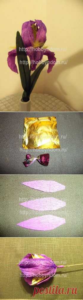 МК. Большой ирис для конфетный букетов ХОББИн ДОМ