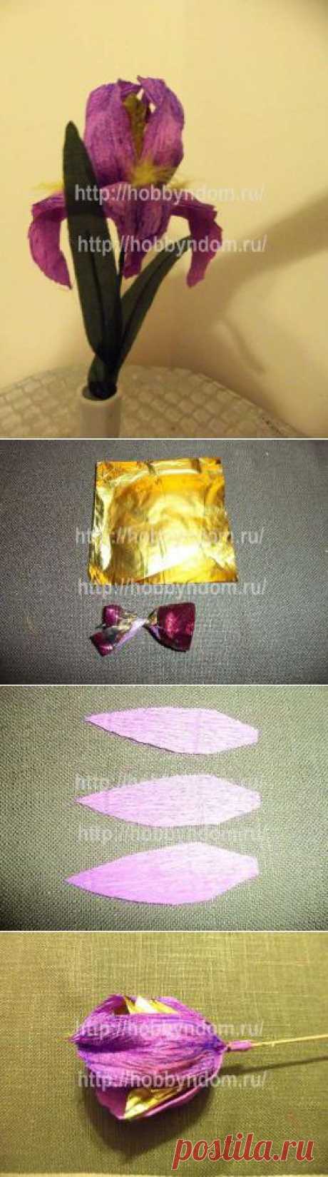 МК. Большой ирис для конфетный букетов ХОББИн ДОМ