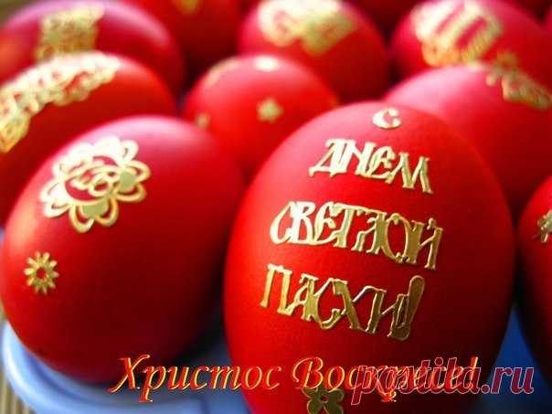 Поделки из яичных лотков