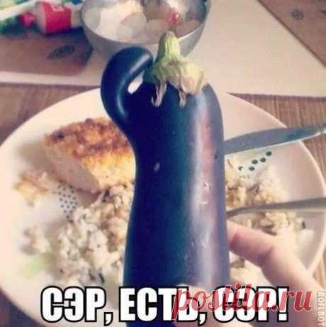 Что выросло, то выросло! | ШАГ НАВСТРЕЧУ