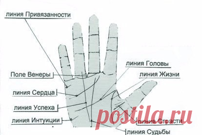 ЧТО ЗНАЧАТ ЛИНИИ НА ЛАДОНИ?
простым и доступным языком!

Чтение по руке одно из самых увлекательных занятий и развлечений. Первое упоминание о хиромантии относится к 2000 году до н. э. Хиромантия – это греческое слово, переводится как гадание или предсказание по руке. В средние века хиромантия считалась наукой, и сегодня интерес к хиромантии так же не угас. У каждого человека своя судьба, которая зашифрована на ладони в виде линий. 
Показать полностью…