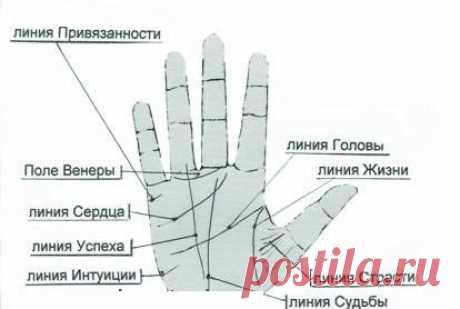 ЧТО ЗНАЧАТ ЛИНИИ НА ЛАДОНИ?
простым и доступным языком!

Чтение по руке одно из самых увлекательных занятий и развлечений. Первое упоминание о хиромантии относится к 2000 году до н. э. Хиромантия – это греческое слово, переводится как гадание или предсказание по руке. В средние века хиромантия считалась наукой, и сегодня интерес к хиромантии так же не угас. У каждого человека своя судьба, которая зашифрована на ладони в виде линий. 
Показать полностью…
