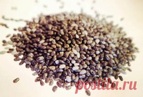 Семена Чиа — полезные свойства и рецепты - Домохозяйки - медиаплатформа МирТесен