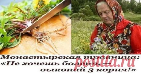 Монастырская травница: Не хотите болеть — накопайте себе три корня — лопуха, пырея и одуванчика Отрывок из интервью с монастырской травницей Еленой Федоровной ЗайцевойМы бережем картошку, а сорняки выбрасываем. А они бывают ценнее, чем картошка. Никакие сорняки выбрасывать нельзя. Придет ден
