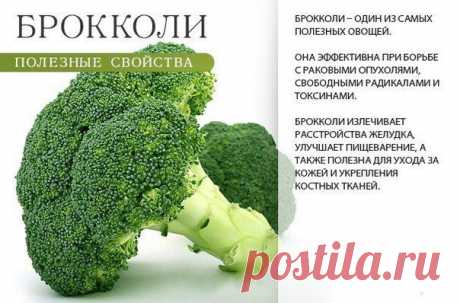 Полезные свойства брокколи