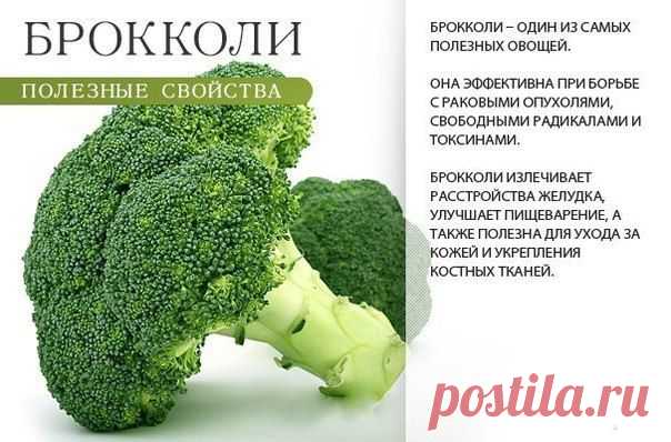 Полезные свойства брокколи