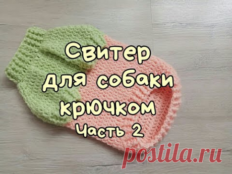 Свитер для собаки крючком, часть 2, DIY Clothes for dogs and cats