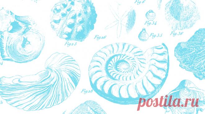 Где мы потеряли счастье, медитация мусорщика и побег от привычек Жизнь бурлит: дел больше, чем мы можем переделать, «надо» окружают плотным кольцом. В итоге мы слишком часто напряжены, взвинчены, подавлены. И это не только ощущения. В организме происходят серьезные изменения. В моменты расстройства, тревоги и стресса брюшной отдел напрягается, препятствуя работе основных мышц. Вот откуда головная боль, «деревянные» плечи и шея, усталость — и поверхностное дыхание. Что делать? Учиться…