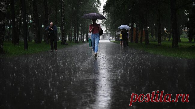 Москвичей предупредили о ливнях с градом и сильном ветре