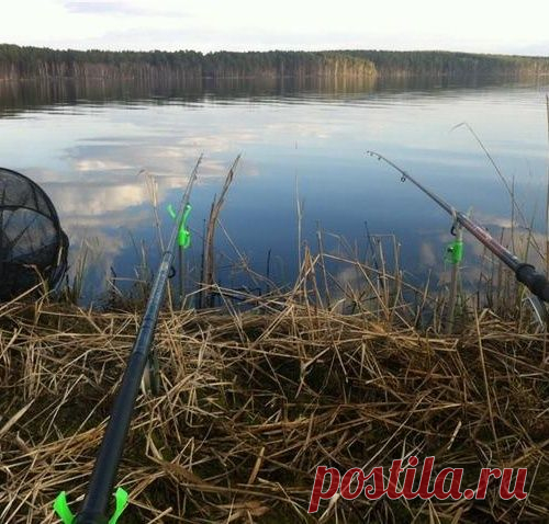 Ароматные добавки или ароматизаторы которые улучшают клев