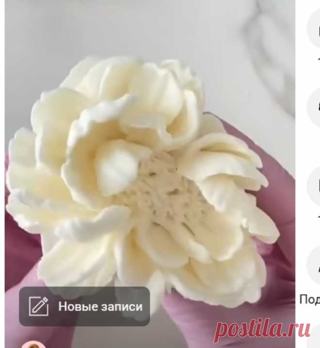 Скриншот-17-06-2025 19:57:35.jpg