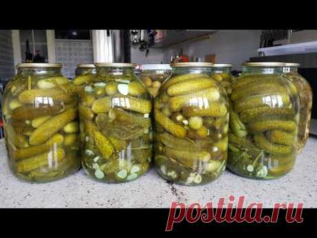 БОЧКОВЫЕ ОГУРЦЫ на ЗИМУ! ХОЛОДНЫЙ СПОСОБ! БЕЗ УКСУСА! SALTED CUCUMBERS! Выпуск №809