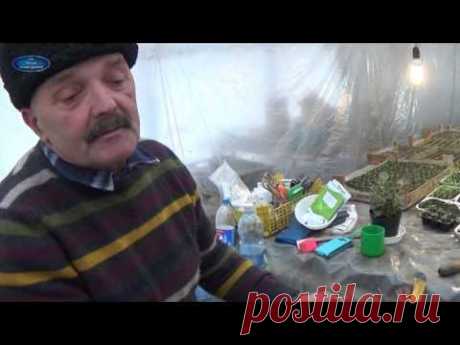 ПОСЕВ В КИПЯТОК. ДЕЙСТВИТЕЛЬНО НОВОЕ, ИЛИ ХОРОШО ЗАБЫТОЕ СТАРОЕ? - YouTube