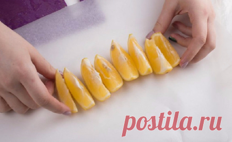 Дневник lipa_fv