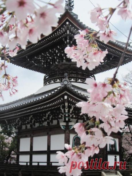 The Kimono Gallery