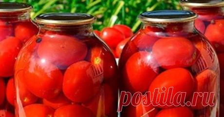 9 супер - рецептов заготовок на зиму... на все случаи жизни! Для вас, дорогие хозяюшки! Рецептики на ваш выбор, которые обязательно стоит попробовать приготовить… Удивите ваших любимых родных и гостей!

1. Помидорные дольки маринованные



Советую приготовить маринованные помидоры рецепт, уверена, этот проверенный рецепт Вы непременно возьмете на заметк