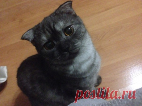 Дмитрий Ларьков