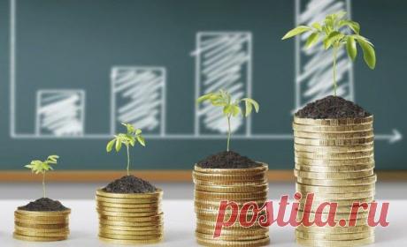 Как развить малый бизнес: рекомендации / Сферический бизнес