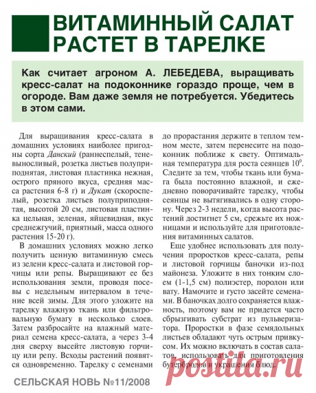 Кресс-салат на подоконнике