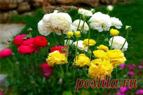 Интересные новости