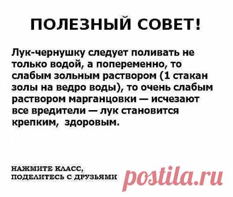 Очень РЕДКО встречаешь такие СОВЕТЫ.