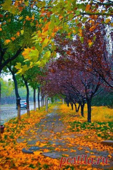 Liudmila PONOMAROVA – Google+